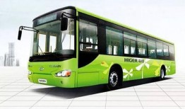 新乡公交车爆料新闻,惊现安全隐患，乘客呼吁整改